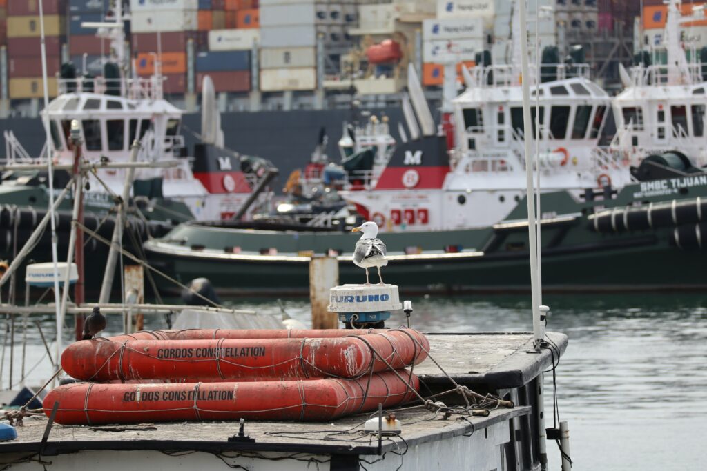 Paris exprime son inquiétude face aux frappes américaines contre des bateaux de trafiquants présumés dans les Caraïbes / unsplash