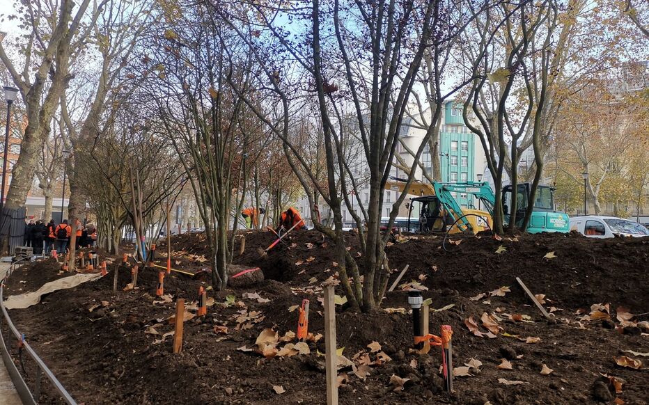 Paris se dote d’une nouvelle « forêt urbaine » place du Colonel Fabien / LP, Pauline Darvey
