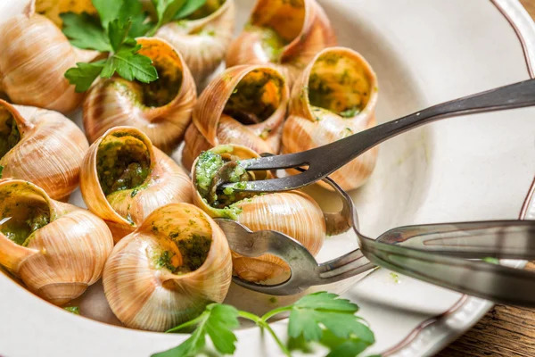 En France, des escargots de luxe volés pour une valeur de 90 000 euros / depositphotos