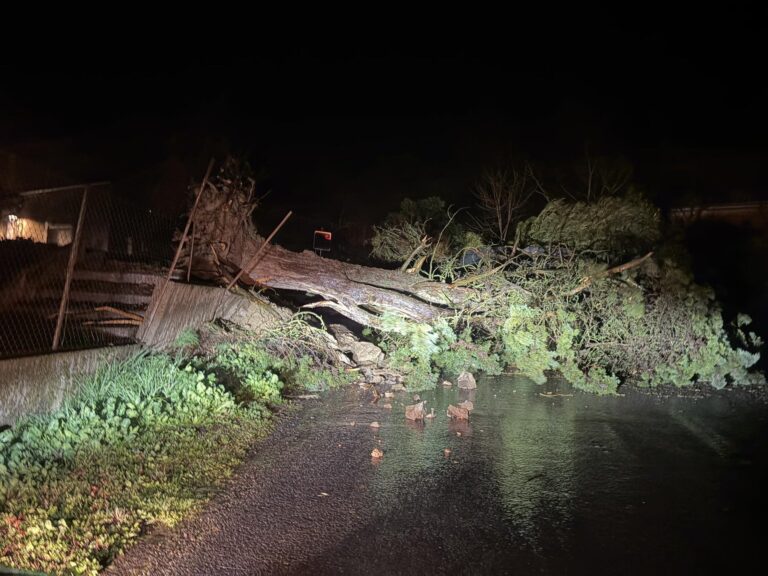 La tempête « Nils » paralyse le sud de la France : victimes, évacuations et centaines de milliers de foyers privés d’électricité / MeteoExpress