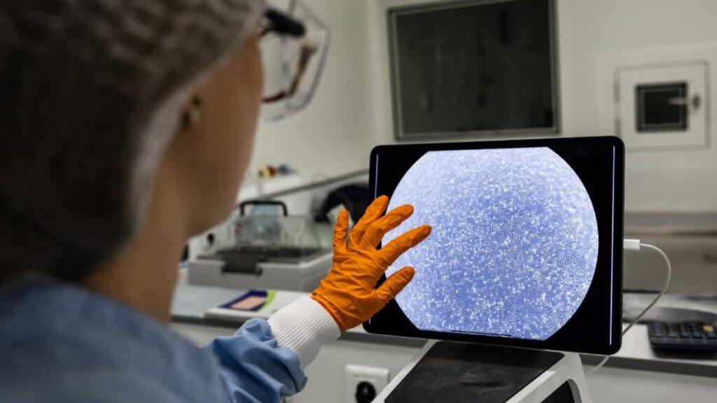 La peau artificielle, un objectif encore lointain pour les grands brûlés / Le Monde