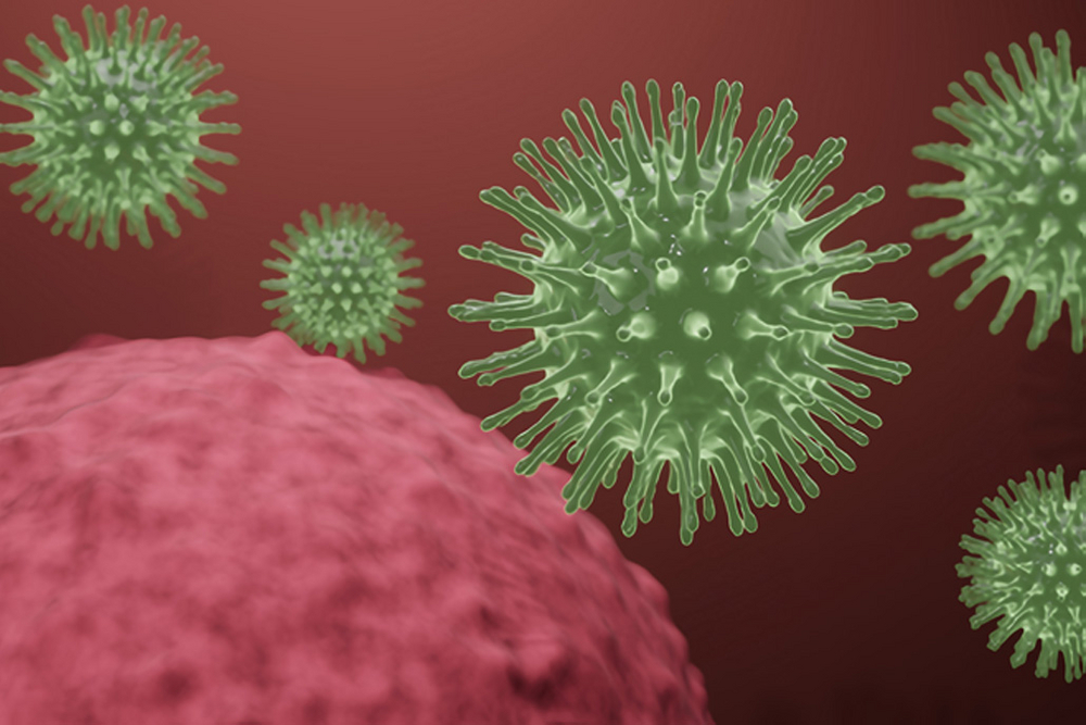 La France ne détecte aucun nouveau cas de hantavirus parmi les personnes contacts