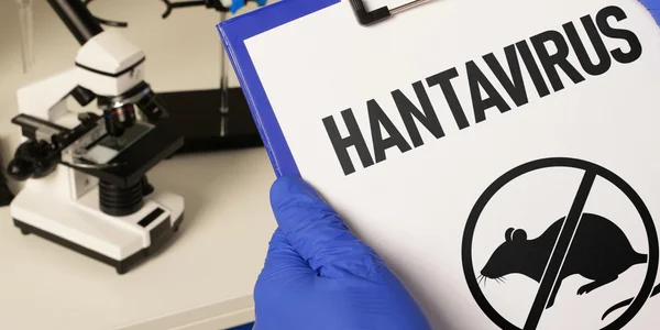 La France impose une quarantaine stricte après une flambée de hantavirus à bord d’un navire de croisière / depositphotos