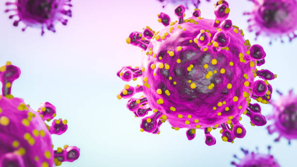 La France ne détecte aucun signe d’une variante plus dangereuse du hantavirus / istockphoto