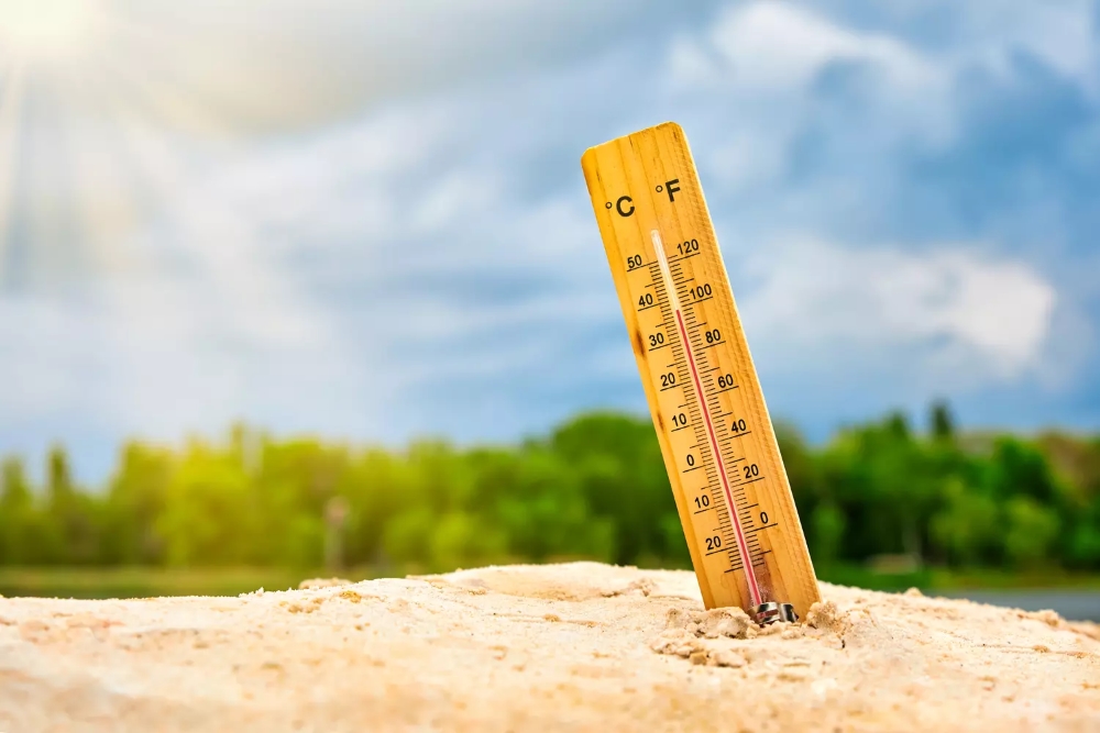 Canicule plusieurs départements pourraient passer en vigilance rouge dimanche / Sothoferm