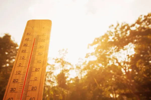 L’Europe frappée par une canicule dangereuse : après la mort de deux enfants, la France déclenche son niveau d’alerte maximal / depositphotos