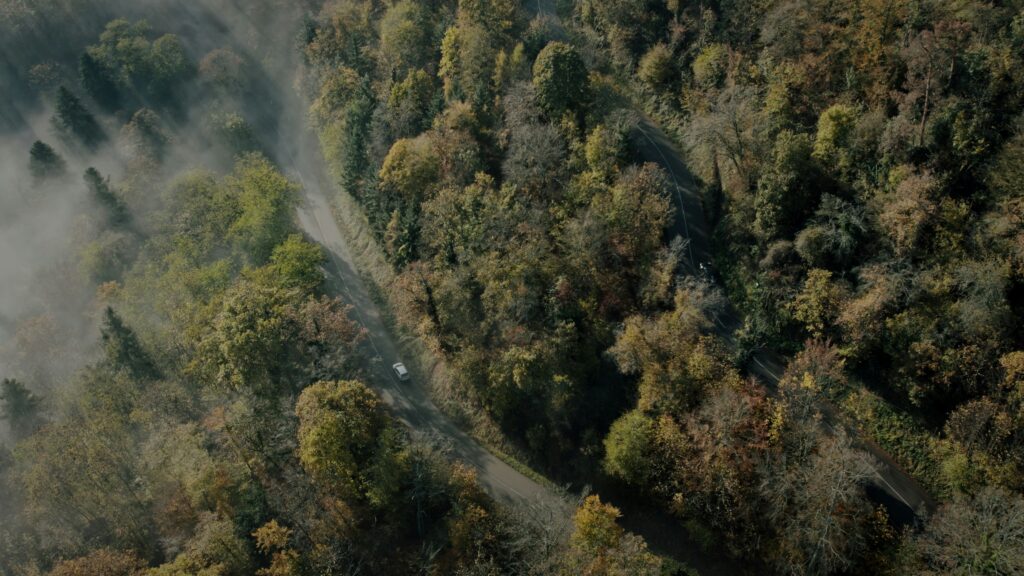 La France se prépare à une saison des feux de forêt à haut risque : la chaleur et les vents violents renforcent les menaces / unsplash