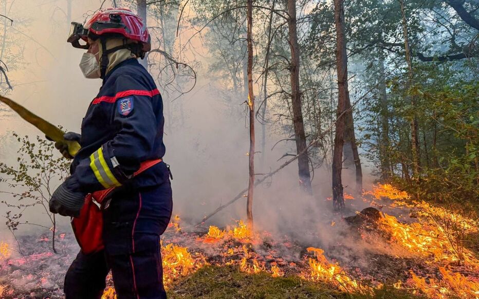 Risque d’incendie la forêt d’Ermenonville : sous haute surveillance près du Parc Astérix et de l’autoroute A1 / Le Parisien