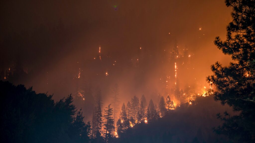 La France entre dans une période à haut risque d'incendies : les pompiers alertent sur une situation déjà critique au début de l'été / unsplash
