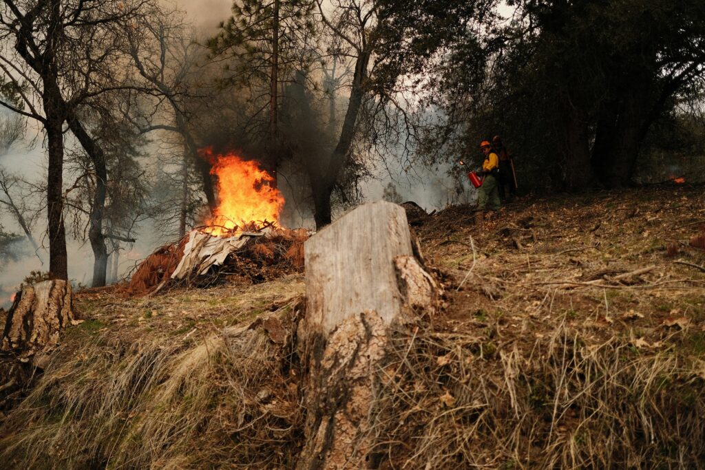 Deux suspects arrêtés en France pour des incendies volontaires en pleine vague de feux de forêt / unsplash