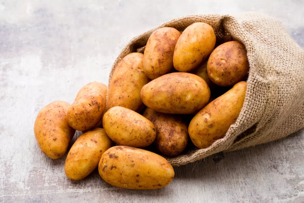 La récolte de pommes de terre pourrait chuter de 23 % après un été particulièrement difficile / Cuisine -Journal des Femmes