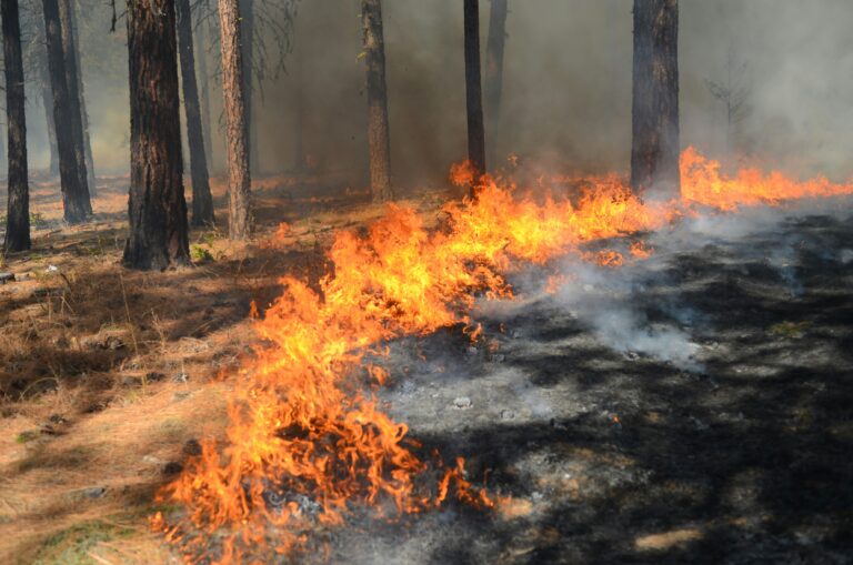 Le sud de la France de nouveau menacé par d’importants incendies : trois départements placés au niveau de danger maximal / unsplash