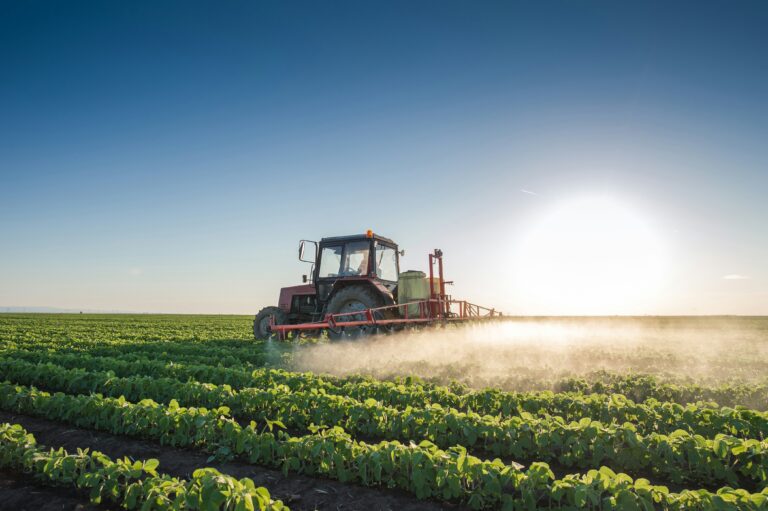 Lecornu promet un nouveau soutien aux agriculteurs français : le gouvernement prépare un plan agricole pour le budget 2027 / unsplash