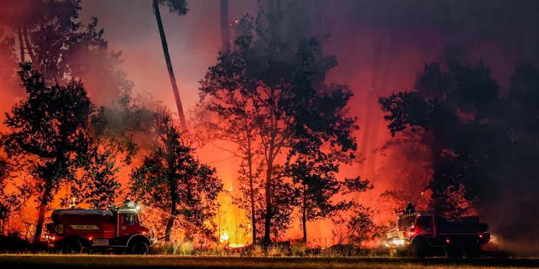 Le plus grand incendie de l'histoire récente transforme durablement la Gironde et relance le débat climatique / Sud Ouest