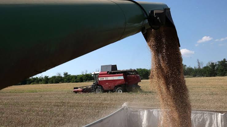 Les frappes russes sur Izmaïl fragilisent une route vitale pour les exportations agricoles ukrainiennes vers l’Europe / Les Échos