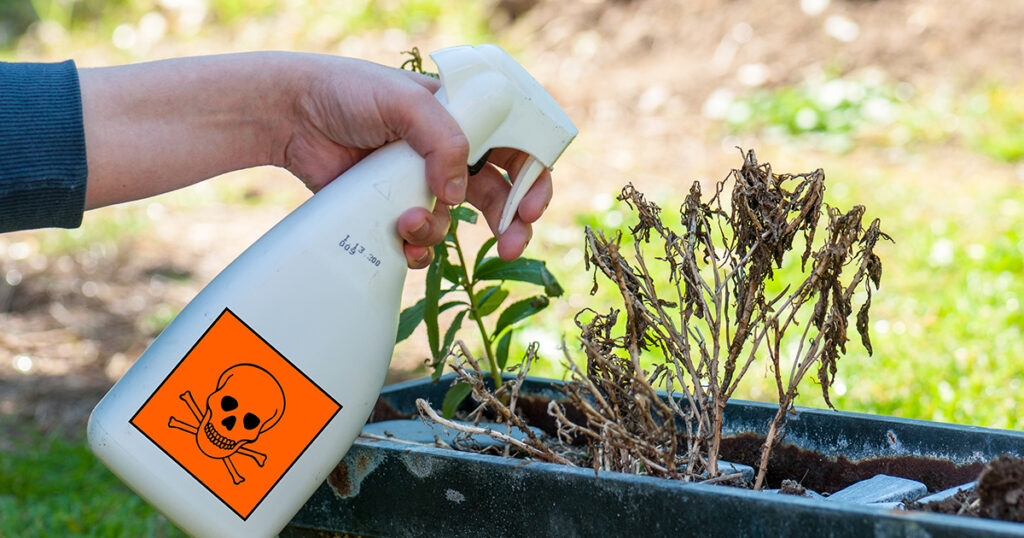 Pourquoi le retour de certains insecticides divise agriculteurs et défenseurs de l’environnement ? / Acti-Environnement