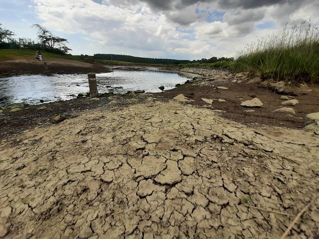 De la Vendée au Grand Est, l’assèchement des petits cours d’eau s’aggrave après un été exceptionnel / Actu