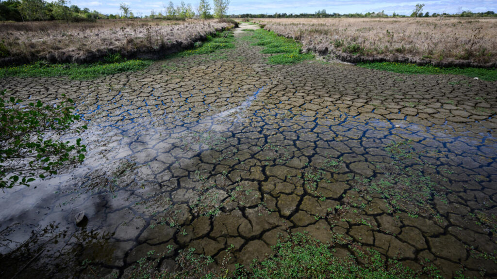La sécheresse des sols atteint un niveau historique après un mois de septembre presque sans pluie / France 24