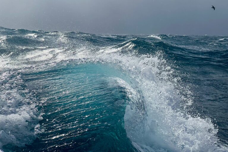 La hausse des températures océaniques fragilise la biodiversité marine et accélère la montée des eaux / RTL